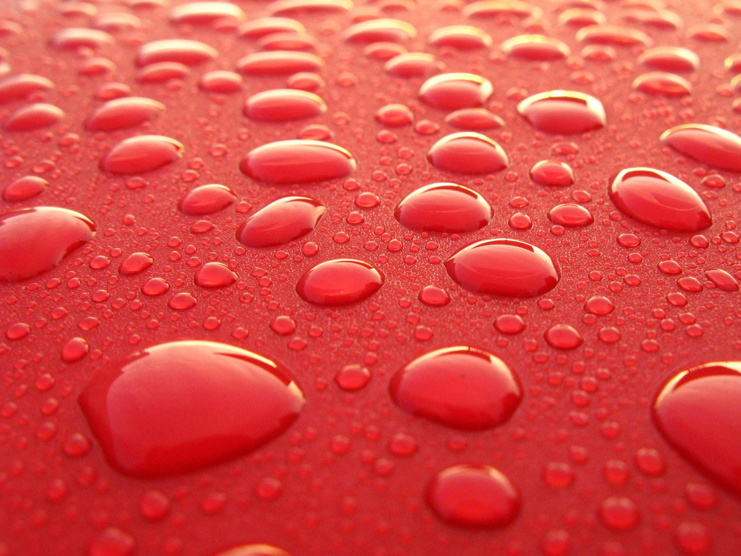 Cuándo se considera que un producto es 100% impermeable